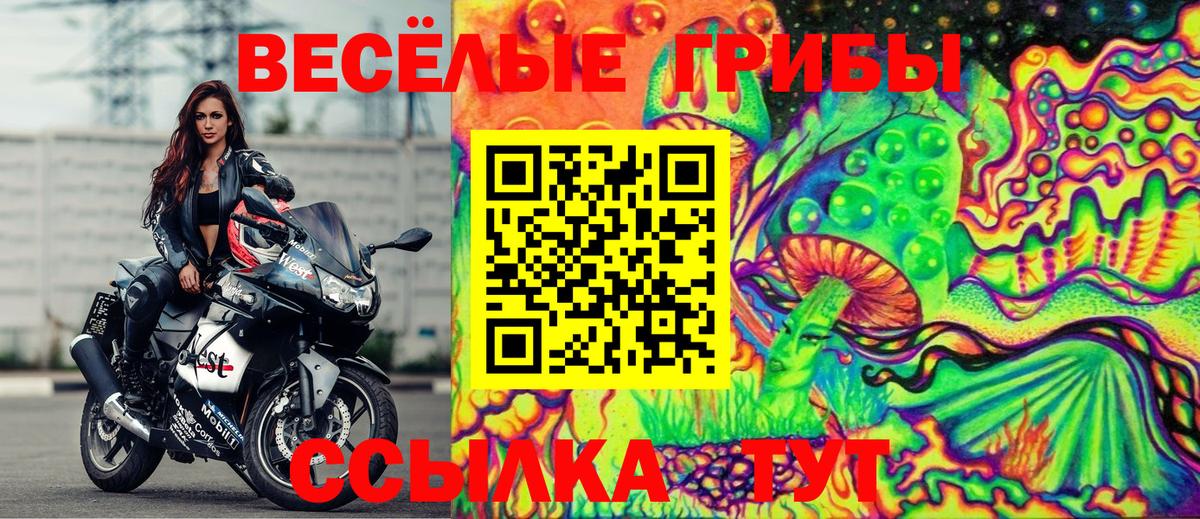 Галлюциногенные грибы Psilocybine cubensis  Псилоцибиновые грибы мухоморы  Татарск  Вход с VPN 